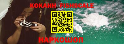крисы Коммунар