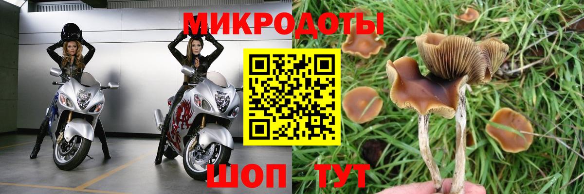 Екатеринбург  Галлюциногенные грибы Magic Shrooms  Вход с VPN 